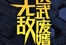 无敌医武废婿秦铭完结小说推荐无敌医武废婿全本书籍阅读-阿优文学
