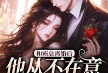 和霸总离婚后，他从不在意变求复婚完整版小说和霸总离婚后，他从不在意变求复婚(许烟秦冽)全章小说阅读-阿优文学