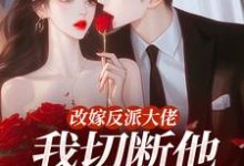 改嫁反派大佬，我切断他黑化根源！江知微萧著最新完结小说，改嫁反派大佬，我切断他黑化根源！全本免费在线阅读-阿优文学