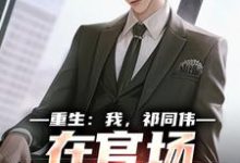 (全文)重生：我，祁同伟，在官场大放光彩免费小说全本，祁同伟侯亮平试读更新章节-阿优文学