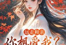 (全文)远走和亲,你想爱我?晚了(姜兰阮宜年)全本书籍阅读远走和亲,你想爱我?晚了免费小说全本-阿优文学