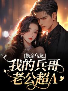 换亲乌龙，我的兵哥老公超A刘书宁陆丰年完结小说推荐，换亲乌龙，我的兵哥老公超A全章小说阅读