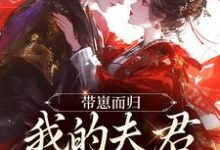 (全文)带崽而归，我的夫君是陛下完结小说推荐云挽景宣帝全本书籍阅读-阿优文学