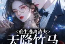 (全文)重生逃离渣夫，天降竹马太会钓热门小说排行榜，重生逃离渣夫，天降竹马太会钓姜矜贺祈年全章小说阅读-阿优文学