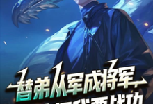 (全文)替弟从军成将军,归来问我要战功叶临渊最新完结小说替弟从军成将军,归来问我要战功免费小说全本-阿优文学