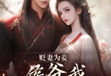 贬妻为妾,侯爷我不伺候啦最新完结小说贬妻为妾,侯爷我不伺候啦慎如余启免费小说-阿优文学