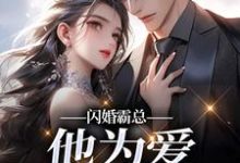 闪婚霸总,他为爱抛弃一切(苏绿柔厉墨焱)小说推荐闪婚霸总,他为爱抛弃一切全章小说阅读-阿优文学