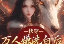 (全文)快穿：万人嫌洗白后成香饽饽了(林观贞裴钧)全本免费在线阅读-阿优文学
