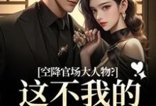 (全文)空降官场大人物？这不我的裙下臣吗顾杳周政良最新完结小说空降官场大人物？这不我的裙下臣吗免费阅读-阿优文学