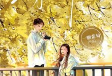 穿越后，我成了神豪小厨娘苗青青顾廷试读更新章节穿越后，我成了神豪小厨娘苗青青顾廷免费小说-阿优文学