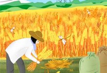 (全文)穿成寒门学渣,我一路科举舌战群儒崔岘崔伯山最新完结小说穿成寒门学渣,我一路科举舌战群儒免费小说全本-阿优文学