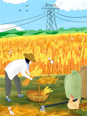 (全文)穿成寒门学渣，我一路科举舌战群儒崔岘崔伯山最新完结小说穿成寒门学渣，我一路科举舌战群儒免费小说全本