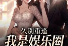 初词贺景祈久别重逢，我是娱乐圈顶流白月光全本免费在线阅读-阿优文学