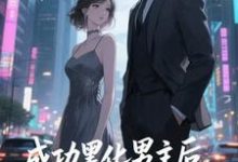 (全文)快穿：男主事业心呢，怎么全是恋爱脑(迦扬厄洛斯)全本免费在线阅读-阿优文学