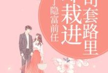 甩了隐富前任，却栽进上司套路里林昭试读更新章节甩了隐富前任，却栽进上司套路里林昭免费小说-阿优文学