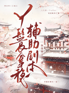 丫鬟拿稳辅助剧本完整版小说，丫鬟拿稳辅助剧本傅初霁全章小说阅读