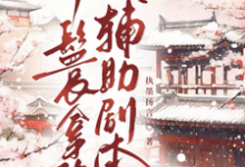 (全文)丫鬟拿稳辅助剧本傅初霁完结小说推荐丫鬟拿稳辅助剧本试读更新章节-阿优文学
