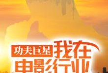 功夫巨星：我在电影行业做武替（唐龙）全本书籍阅读功夫巨星：我在电影行业做武替完整版小说-阿优文学