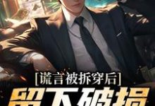 谎言被拆穿后，留下破损的婚姻完整版小说，谎言被拆穿后，留下破损的婚姻张齐全章小说阅读-阿优文学