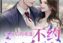 多年后的重逢，不约，姐有男友禾念安池少东最新完结小说，多年后的重逢，不约，姐有男友全本免费在线阅读-阿优文学