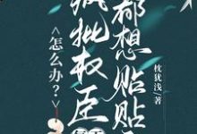 (全文)怎么办？疯批权臣每天都想贴贴我顾轻舟全本免费在线阅读-阿优文学
