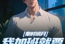 秦时明月：我加班就要被扣经验值完整版小说秦时明月：我加班就要被扣经验值(赵子珏)全章小说阅读-阿优文学