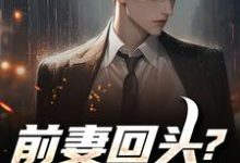 前妻回头?可惜,迟了!(秦风)全本书籍阅读前妻回头?可惜,迟了!完整版小说-阿优文学