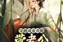 穿越成童养媳，带老公荒年发大财林十七最新完结小说，穿越成童养媳，带老公荒年发大财全本免费在线阅读-阿优文学