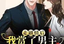 走剧情后，我赏了男主三个巴掌练手（江淮宁）全本书籍阅读走剧情后，我赏了男主三个巴掌练手完整版小说-阿优文学