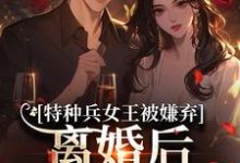 特种兵女王被嫌弃，离婚后马甲爆了乔沁顾沉霆完结小说推荐特种兵女王被嫌弃，离婚后马甲爆了全本书籍阅读-阿优文学