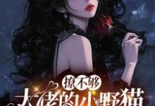 (全文)撩不够,大佬的小野猫又欲又嚣张(陆晨矅)全本免费在线阅读-阿优文学