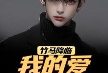 (全文)竹马降临，我的爱瞬间扫地完结小说推荐江书正全本书籍阅读-阿优文学