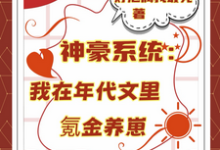 神豪系统：我在年代文里氪金养崽（叶晓琳）小说推荐神豪系统：我在年代文里氪金养崽全章小说阅读-阿优文学