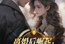 离婚后崛起，绝美前妻高攀不起完整版小说，离婚后崛起，绝美前妻高攀不起李川试读更新章节-阿优文学