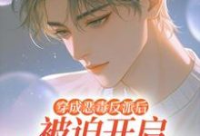穿成恶毒反派后被迫开启修罗场最新章节阅读穿成恶毒反派后被迫开启修罗场(沈齐云)试读更新章节-阿优文学