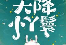 天降小丫鬟完整版小说，天降小丫鬟夏夏试读更新章节-阿优文学