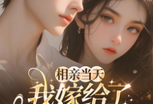 相亲当天，我嫁给了京都首富完整版小说相亲当天，我嫁给了京都首富(蓝冉)全章小说阅读-阿优文学