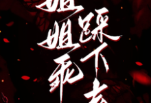 姐姐乖,踩下去(黎昭月)全章小说阅读-阿优文学