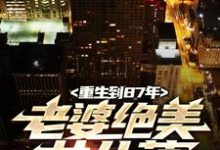 重生到87年，老婆绝美女儿萌完整版小说，重生到87年，老婆绝美女儿萌陆浩试读更新章节-阿优文学