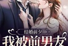 (全文)结婚前夕，我被前男友带走了薄寒深曲南枝最新完结小说结婚前夕，我被前男友带走了免费小说全本-阿优文学