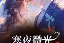 袁小苔寒夜微光：她的逆袭人生全本免费在线阅读-阿优文学