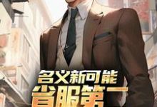 (全文)名义新可能：省服第二能否逆转大局（萧承）全本书籍阅读名义新可能：省服第二能否逆转大局免费小说全本-阿优文学