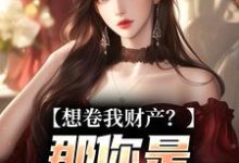 (全文)想卷我财产？那你是碰到铁板了舒楹全本免费在线阅读-阿优文学