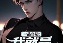 (全文)一品官运：我就是无冕之王（陈飞宇）全本书籍阅读一品官运：我就是无冕之王免费小说全本-阿优文学