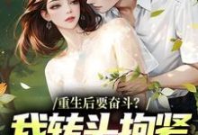 重生后要奋斗?我转头抱紧富婆大腿完整版小说重生后要奋斗?我转头抱紧富婆大腿(李子玉)全章小说阅读-阿优文学