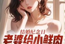 结婚纪念日，老婆给小鲜肉打榜应援完整版小说，结婚纪念日，老婆给小鲜肉打榜应援叶一帆试读更新章节-阿优文学