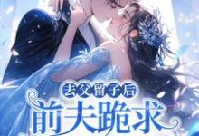 去父留子后，前夫跪求伺候我月子！林亦棠最新完结小说，去父留子后，前夫跪求伺候我月子！全本免费在线阅读-阿优文学