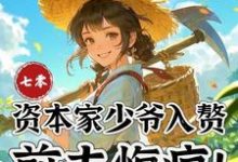 七零：资本家少爷入赘，前夫悔疯苏小满免费小说七零：资本家少爷入赘，前夫悔疯推荐完结小说-阿优文学