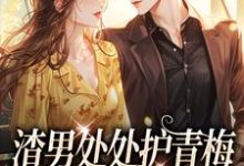 渣男处处护青梅，重生改嫁他急了完整版小说，渣男处处护青梅，重生改嫁他急了方毅全章小说阅读-阿优文学