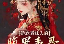 娇软表妹入府：腹黑表哥沦陷了推荐完结小说娇软表妹入府：腹黑表哥沦陷了(沈云婉)免费小说全本-阿优文学